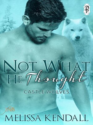 cover image of Not What He Thought (1Night Stand)